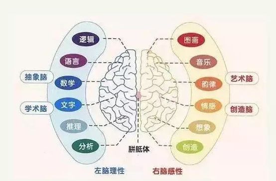 Beat365早教首先教育的不是孩子而是父母(图1)