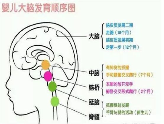 Beat365早教首先教育的不是孩子而是父母(图3)