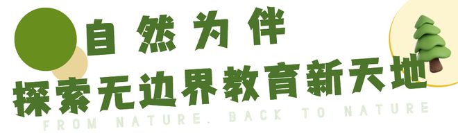 Beat365金华这所幼儿园坐拥百亩森林还有高尔夫、恒温泳池看完真的心动了！(图2)