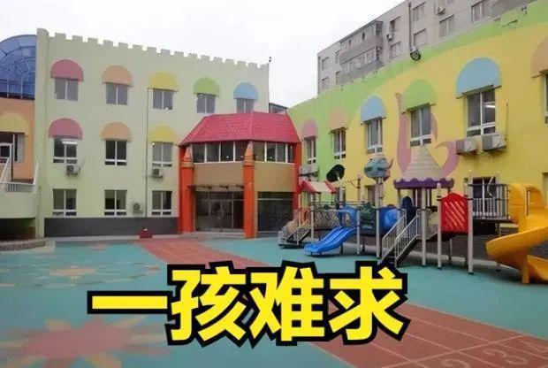 Beat365“幼儿园念着念着学校没了”园所如何通过解决学习困难自救？(图1)